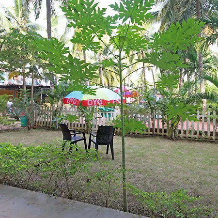 Oyo 9409 Morjim Grand Inn